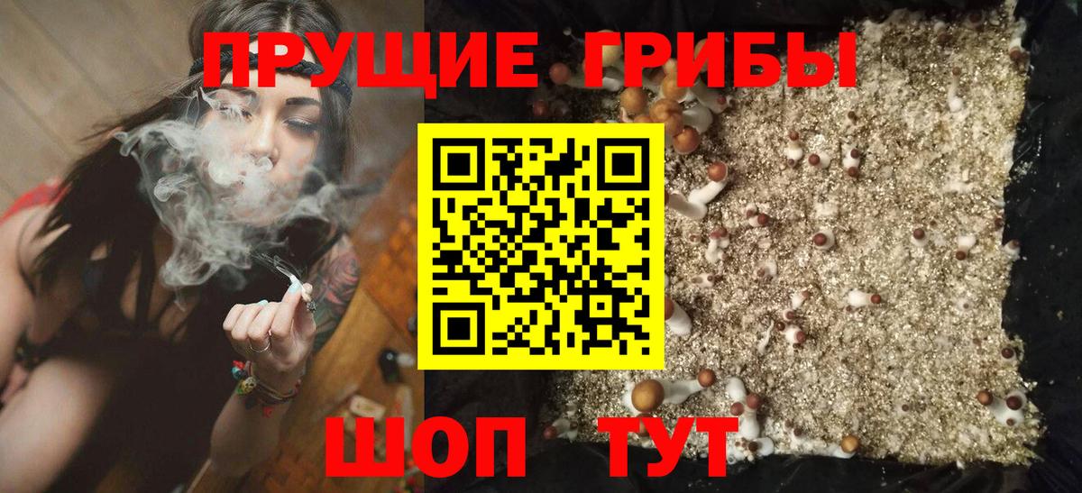 Галлюциногенные грибы мухоморы Мурманск